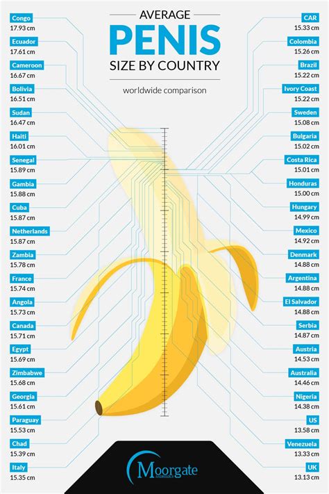 average penile length|Average Male Pen Size Statistics • WorldMetrics.